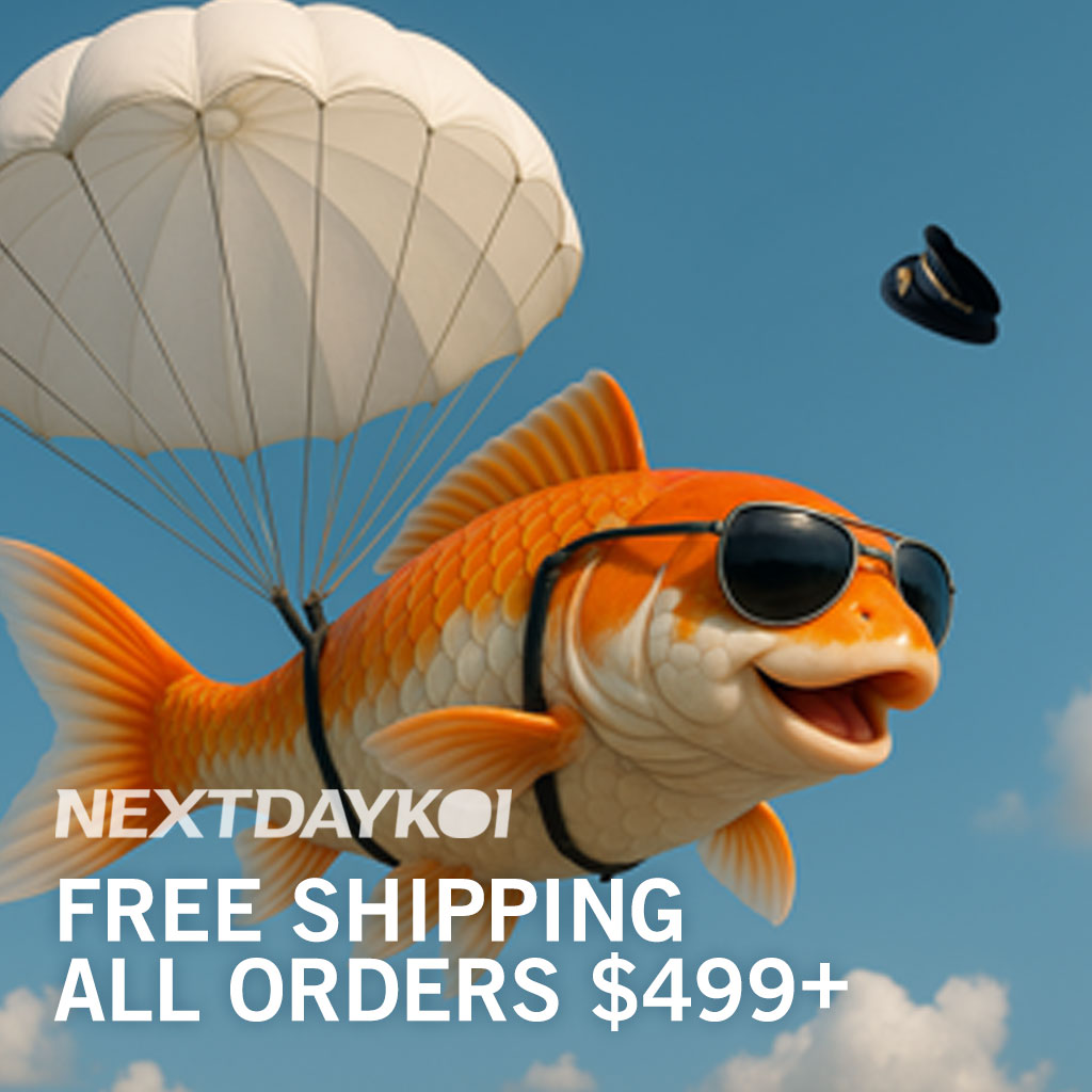 Free Shipping Orders $499+